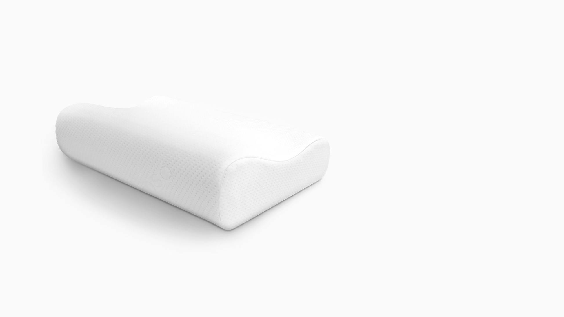 ecosa pillow